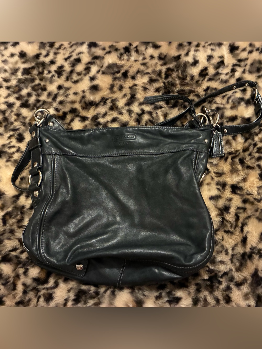 Coach Zoe Hobo Bag